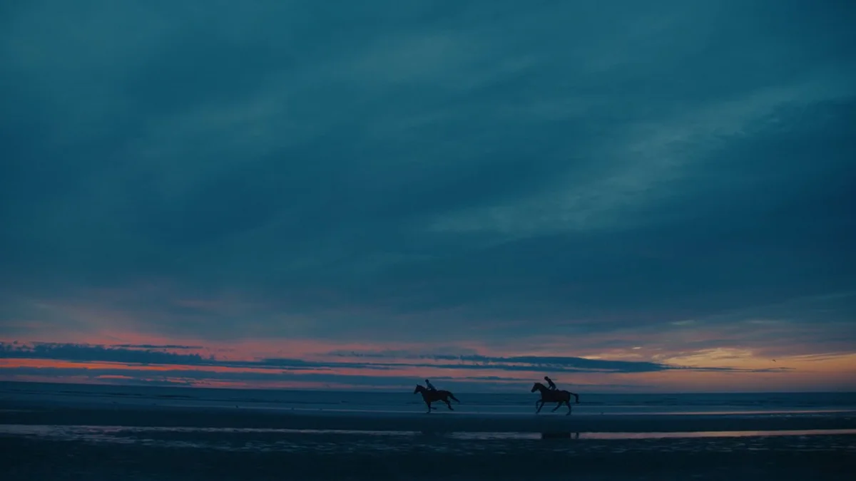 Horseware Ireland wins International Marketing accolade