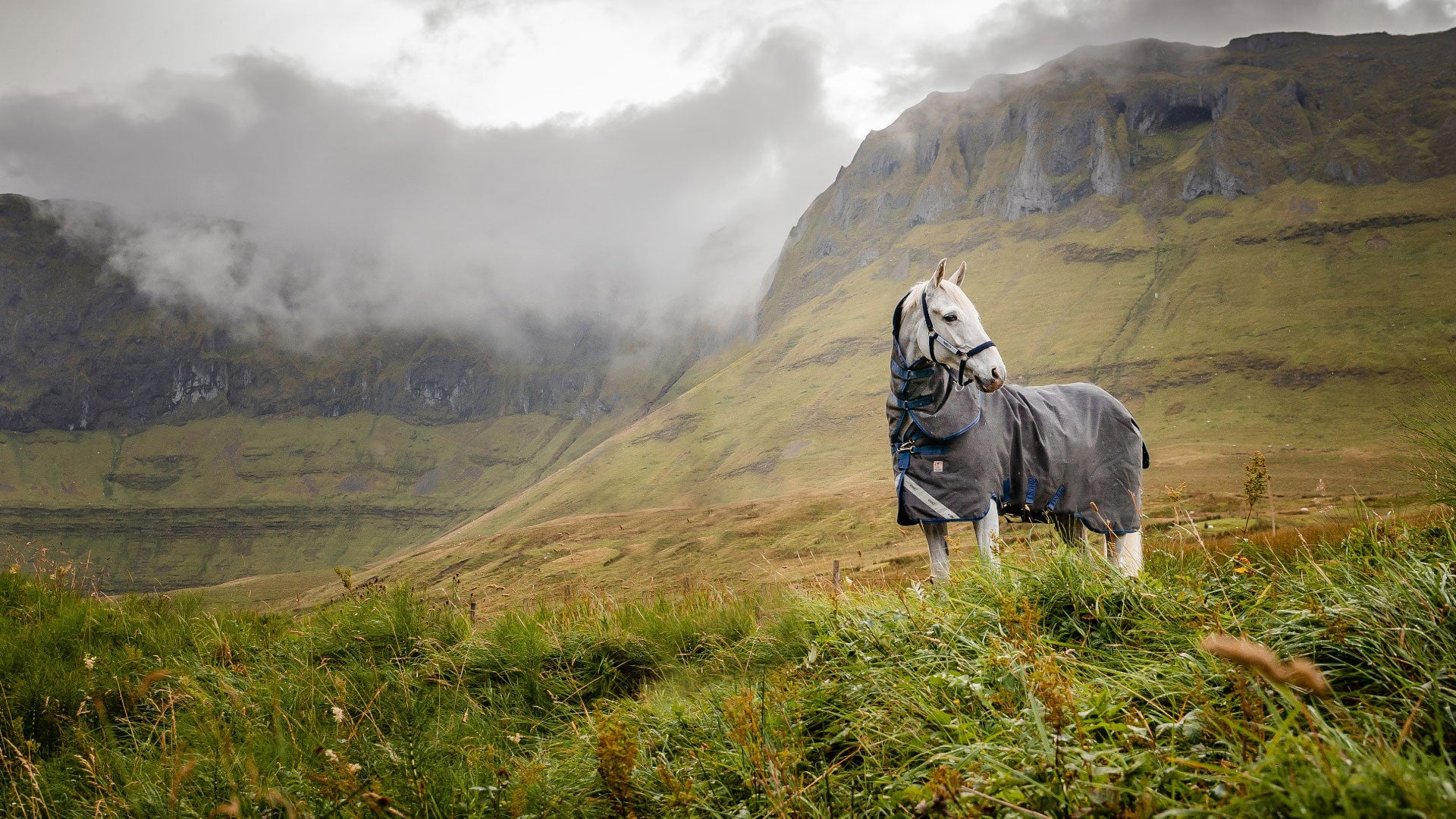 Rhino® Hexstop Plus with Vari-Layer Innovation Series - Horseware