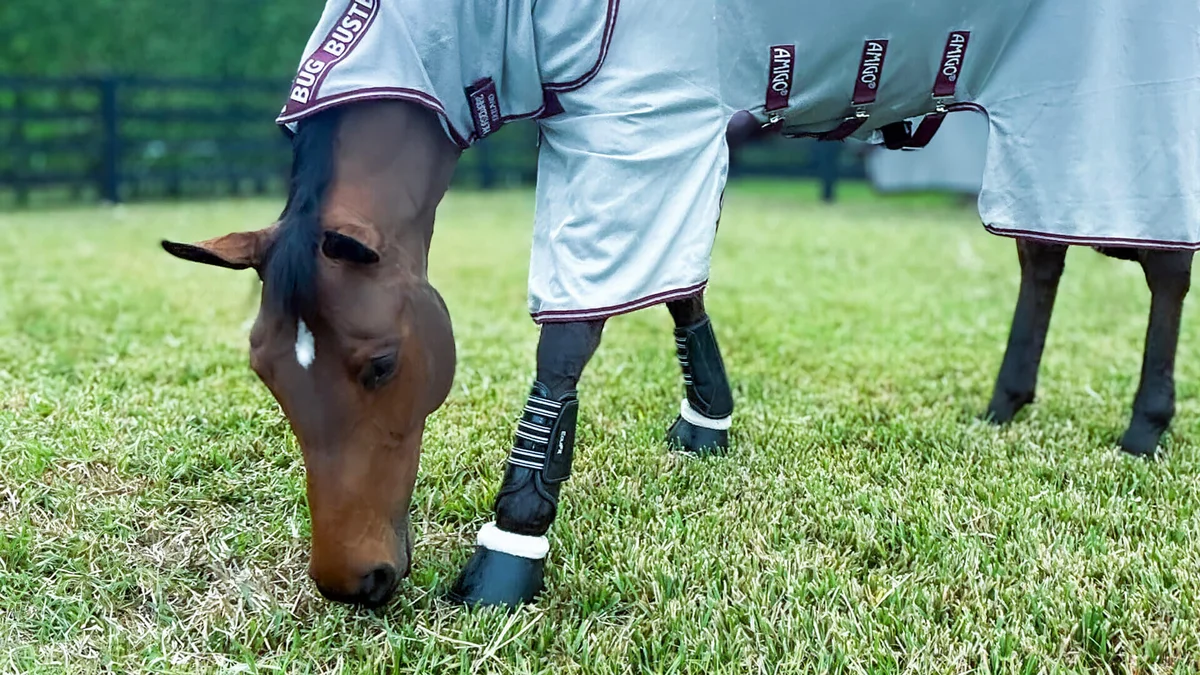 Leading equestrian firms Horseware Ireland and EquiFit announce Merger