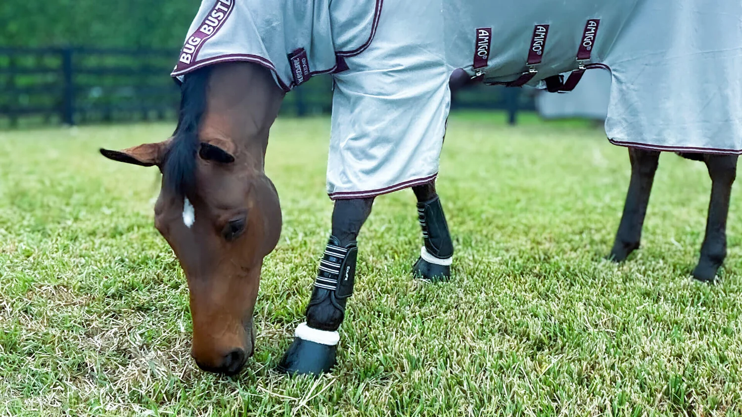 Horseware Ireland und EquiFit verkünden Zusammenschluss