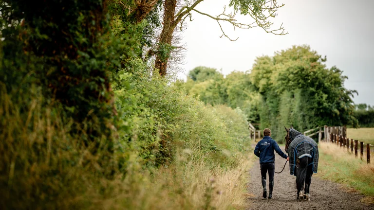 Trainer leading a horse down a trail