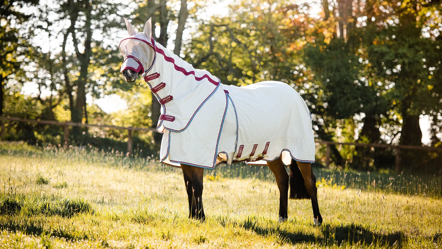 Sun Protection for Horses: UV and Preventing Sunburn