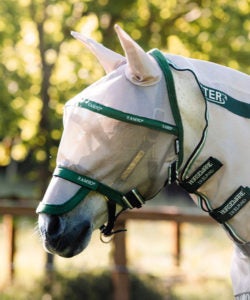 UV-Schutz für Pferde - Der Reitsport Blog
