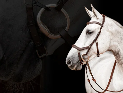 Purchase Patriotic HW Riding Tights Online - Horseware Ireland ®