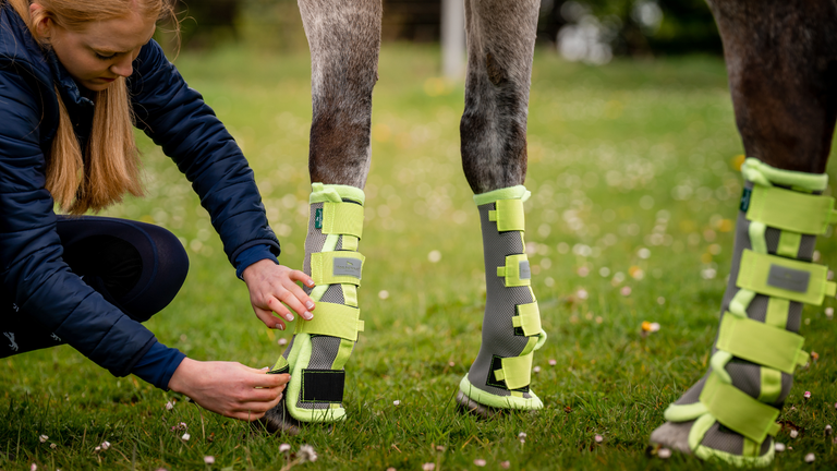 Everything You Need to Know About Horse Fly Boots