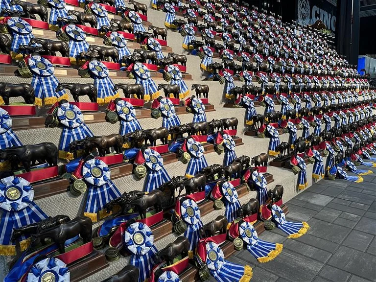 All American Quarter Horse Congress 2025 Awards and Ribbons