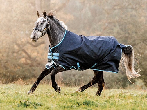 Order Amigo® Bravo 12 Original Turnout (100g Light) Online - Horseware