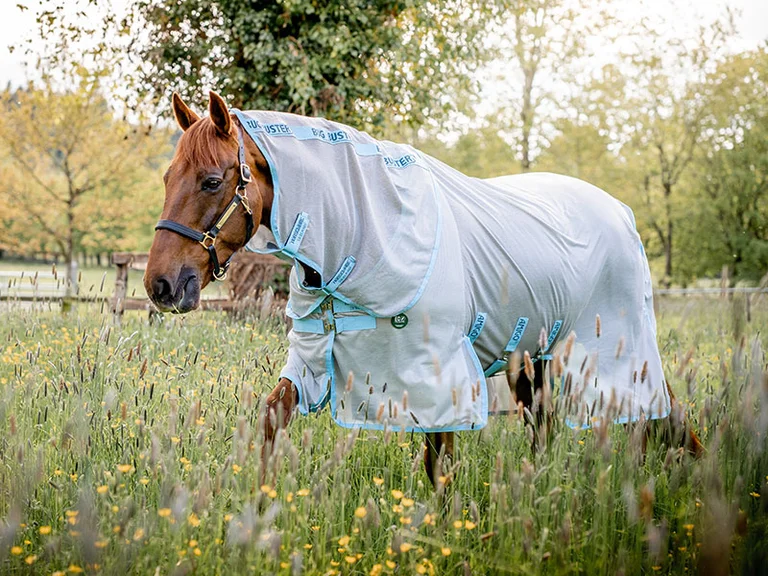 Essentiels équestres printemps-été