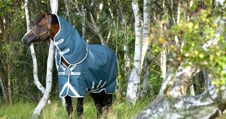 Avis sur la gamme Amigo® AmEco