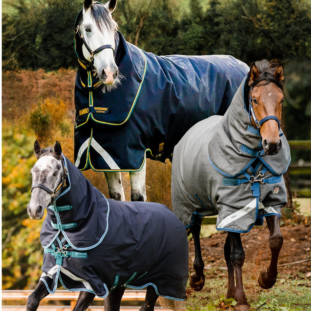 Horseware Irelands Decken-Ratgeber, Teil eins: Was du schon immer über Pferdedecken wissen wolltest