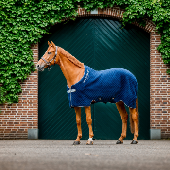 The Preppy Equestrian  Christmas gift guide, Unique christmas