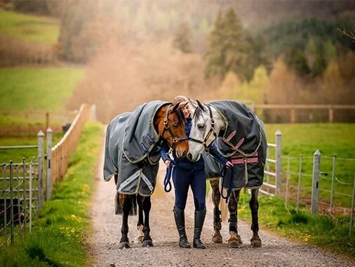 How to wash and pack your horse's blanket