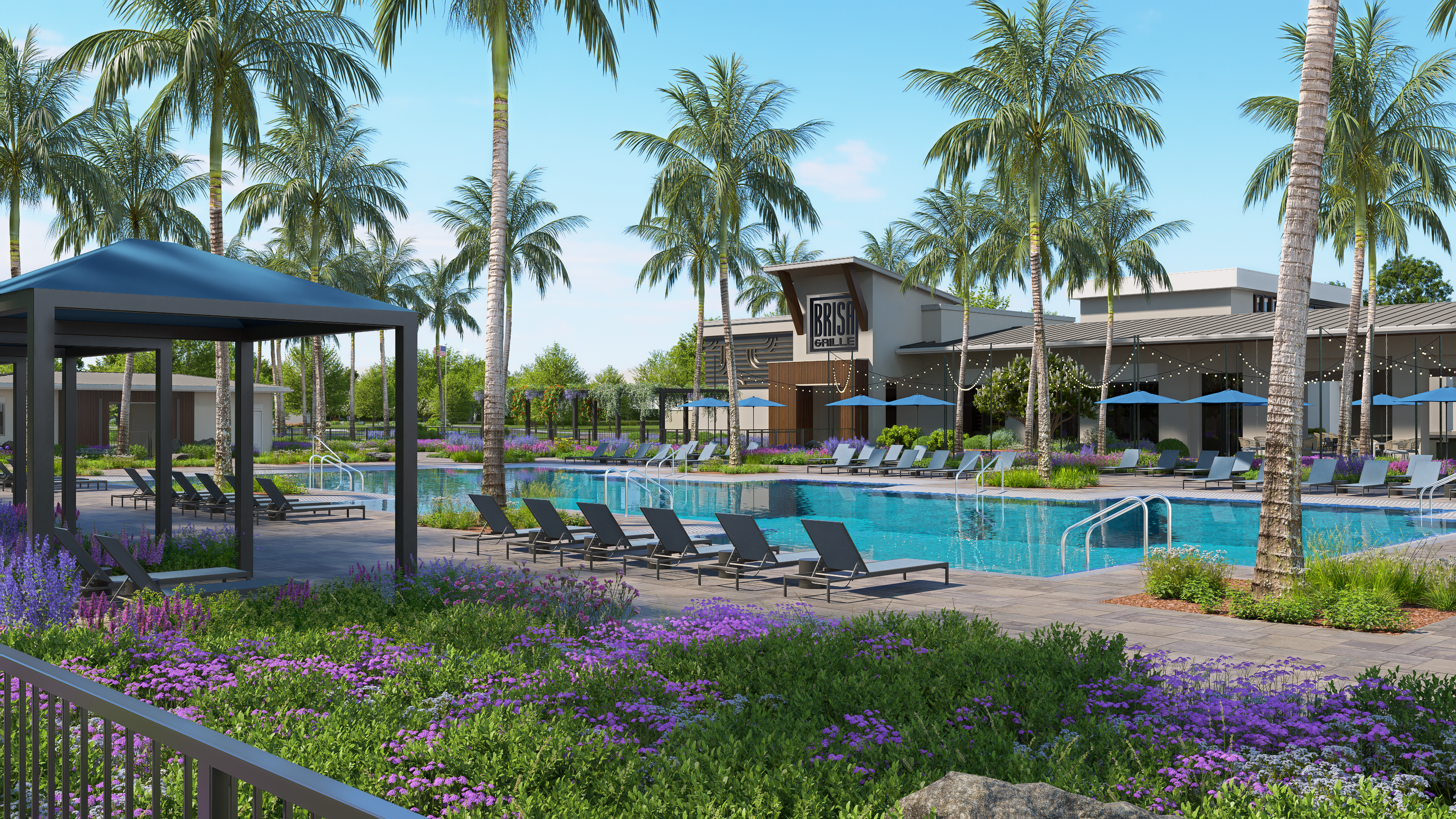 Vivid Shores Gallery