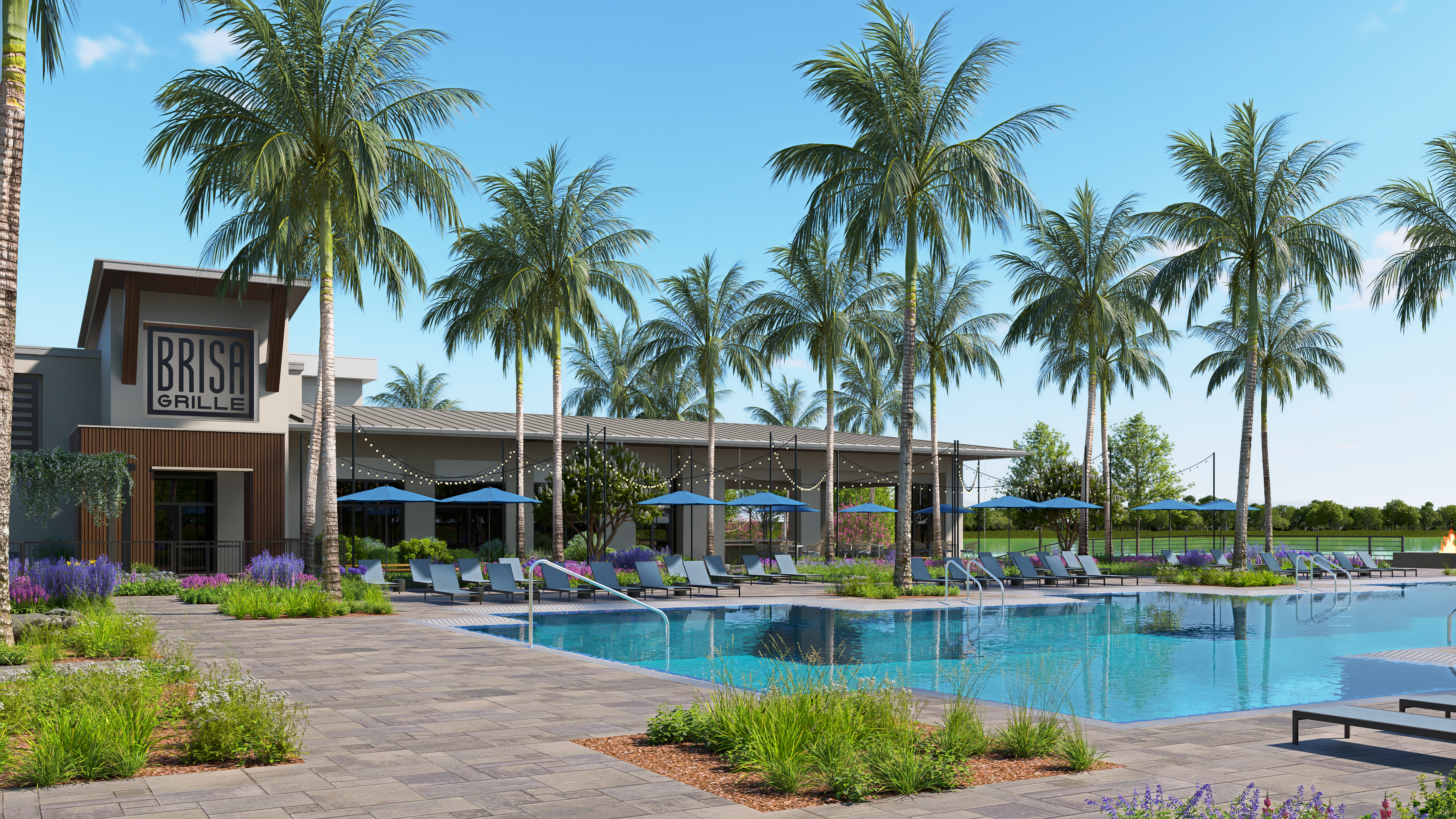 Vivid Shores Gallery