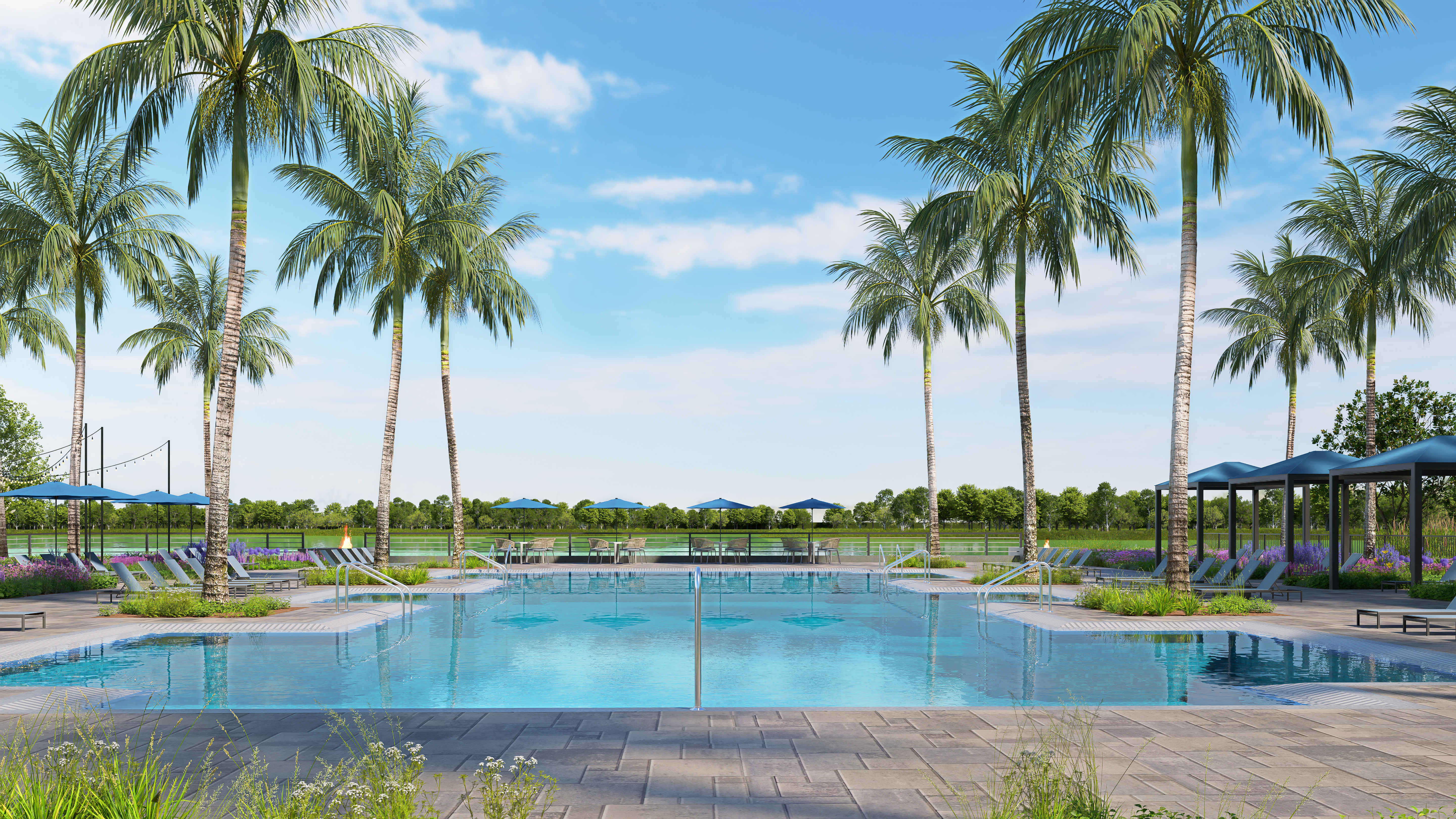 Vivid Shores Gallery