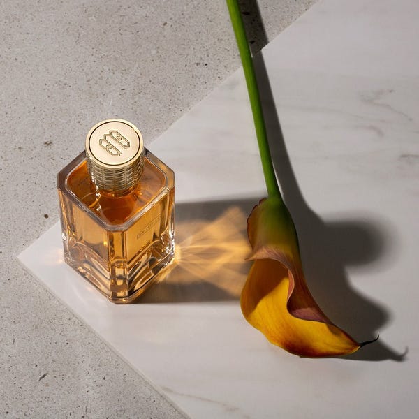 Unveiling the World of Niche Fragrances: 13 Brands to Explore