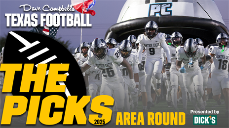 THE PICKS: ALL 176 Area Round Playoff Games
