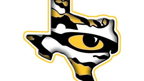 Sealy HC Shane Mobley Steps Down