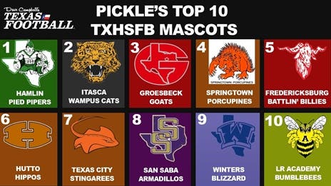 Pickle's Top 10 TXHSFB Mascots