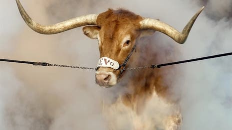 Where did the Texas Longhorns rank in the initial College Football Playoff rankings? Find out inside