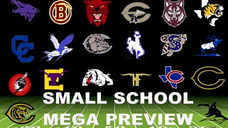 SMALL School Mega Preview: Area Round