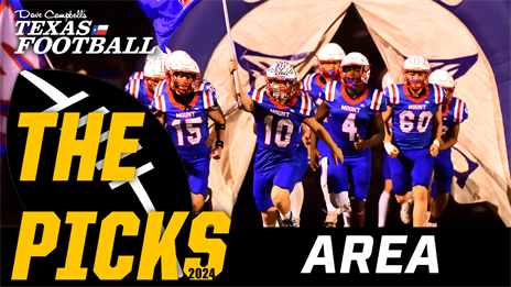 THE PICKS: 2024 Area Round