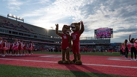 Week 8 Helmet Stickers: Coogs special teams, Mike Collins, Sincere McCormick and more!