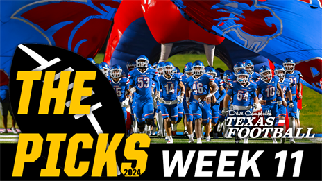 THE PICKS: Week 11, 2024