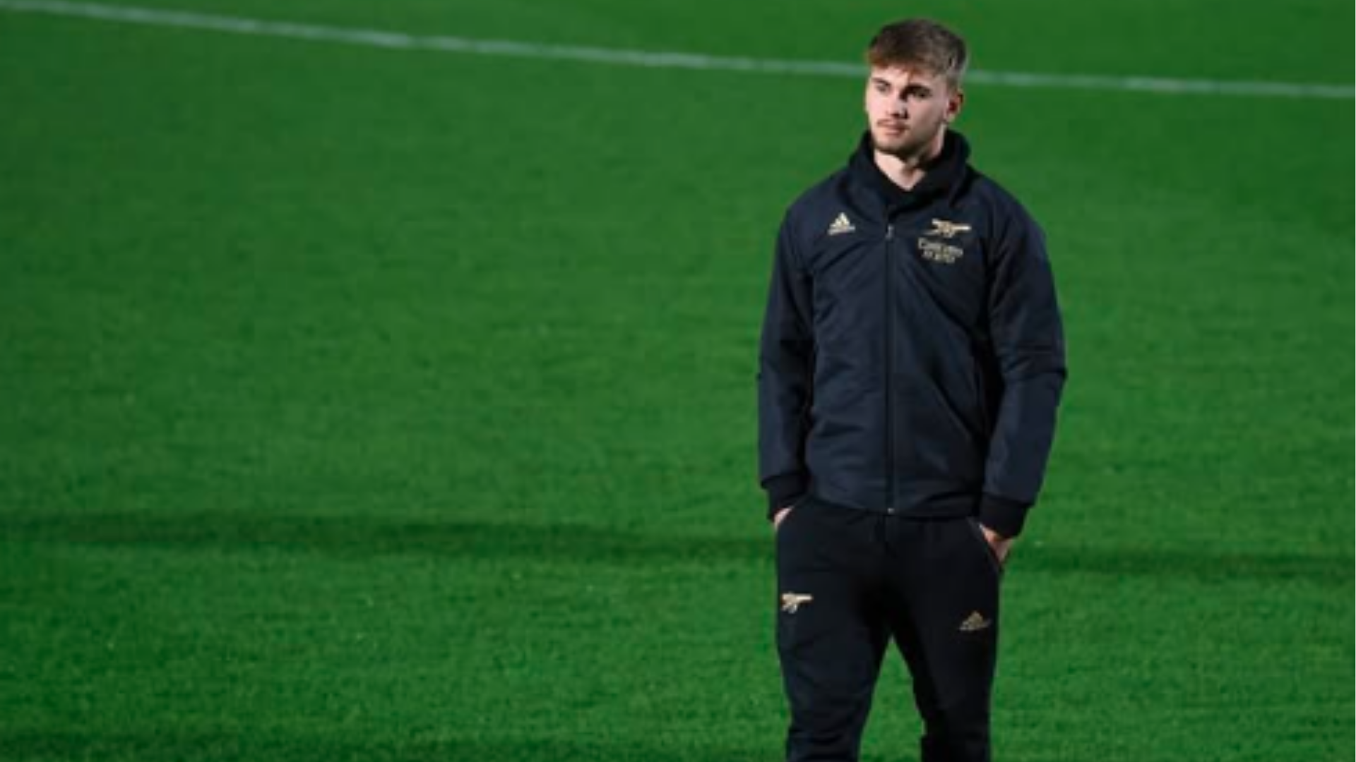 عکس های بیلی ویگار