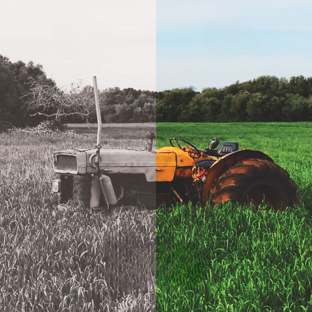 Tractor in a field