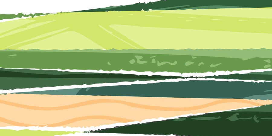 artistic depiction of a rural landscape with light and dark shades of green hills and tan soil