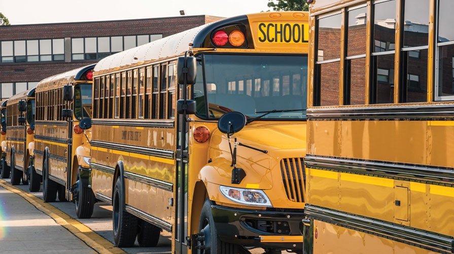 photo of a line of school buses