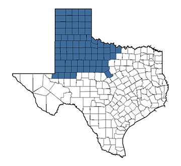 Consultant's territory Jesse Gonzales