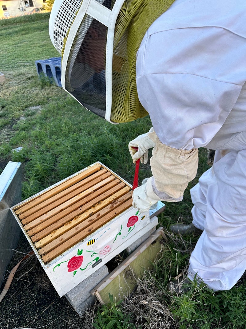 Kenzi Williams tends to her apiary. A hive can have about 12,000 bees. 