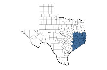Selma Turner Territory Map