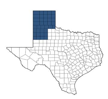 Elizabeth York's territory