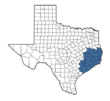 Consultant Territory Ryan Boyce