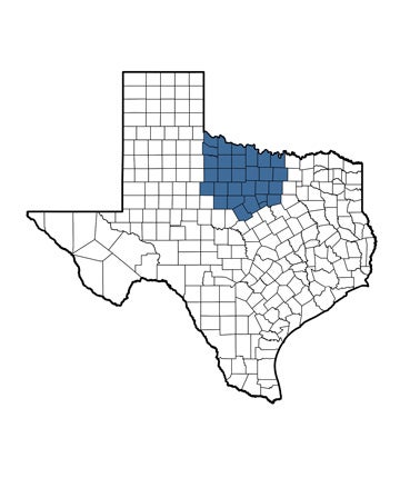 Betsi Morton territory map