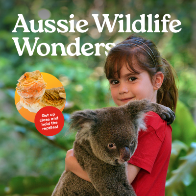 Aussie Wildlife Wonders