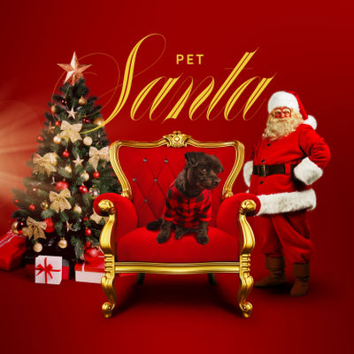 Pet Santa