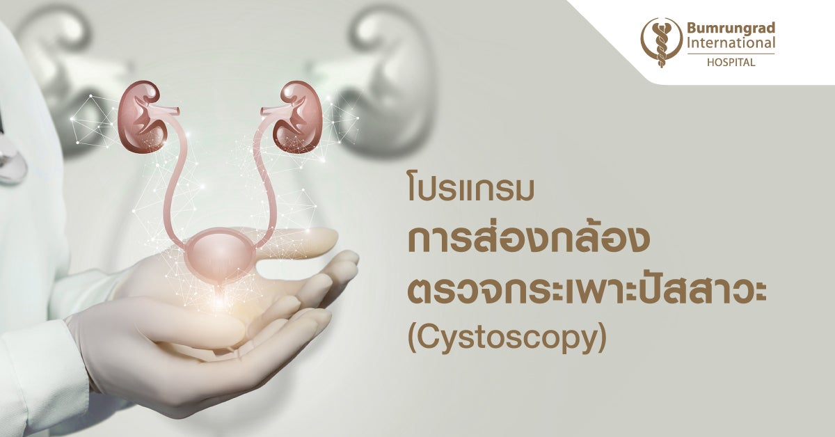 Cystoscope Lib Python โปรแกรมการส่องกล้องตรวจกระเพาะปัสสาวะ (cystoscopy)
