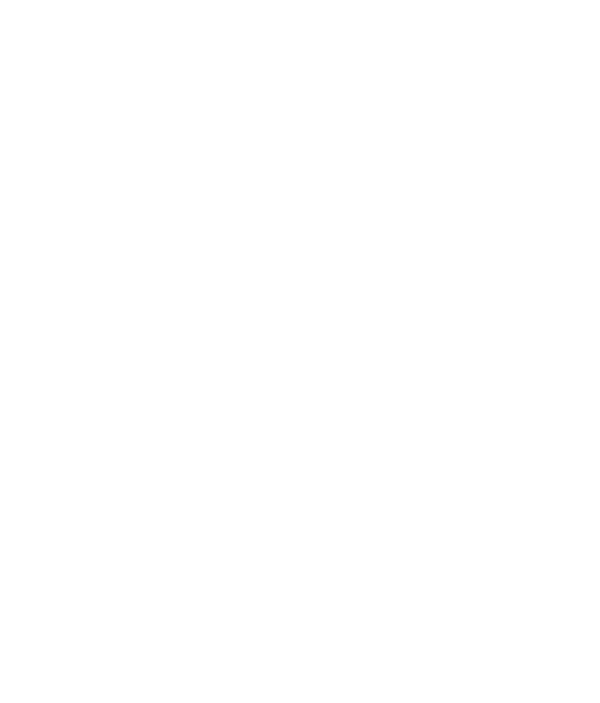 United Nations Global Impact