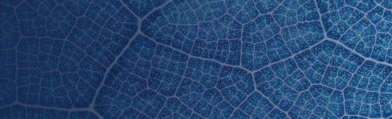 Background textured image