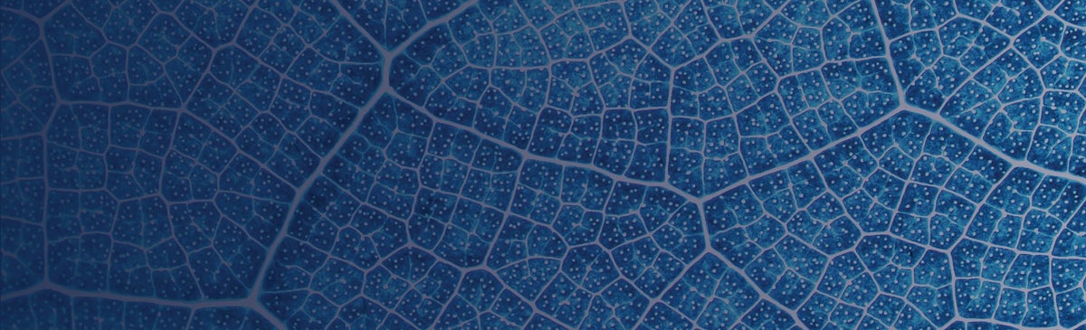 Background textured image