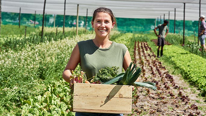 Lady in a paddock holding a wooden crate filled with organic food.