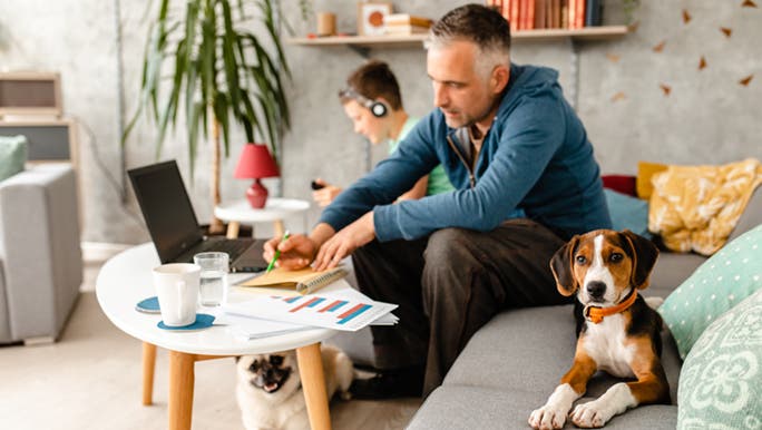 A work from home dad is kept company by his son and two dogs.