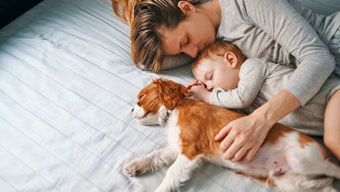 A young mother is sleeping on her side with her arm around her baby and dog
