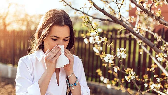 A lady blows her nose as she walks along the street at sunrise. There is a tree in the background with small white flowers on it and the sky is glowing orange. 