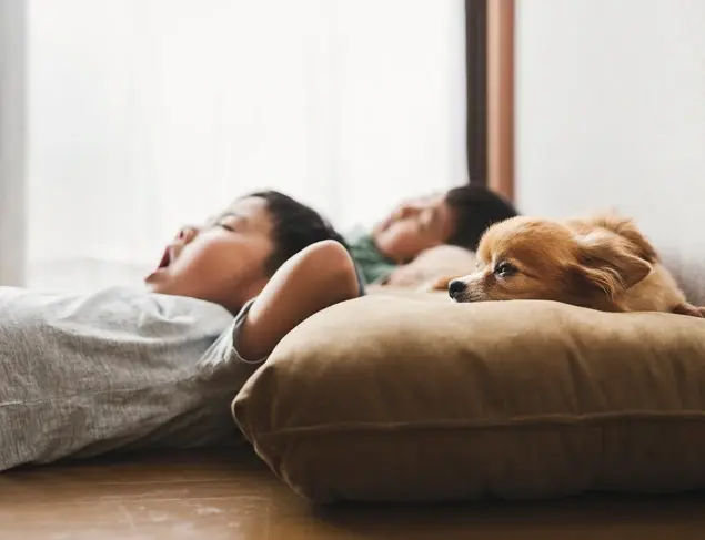 Kids and naps – what’s normal?