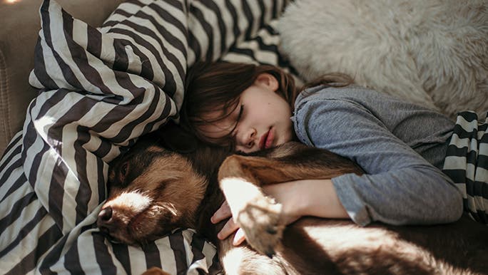 A little girl sleeps in bed with her dog, the sun is shining through the window lighting up parts of her stripes sheets. 